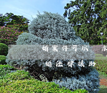 離婚案件可以尋求法律援助中心嗎(怎樣申請離婚法律援助)