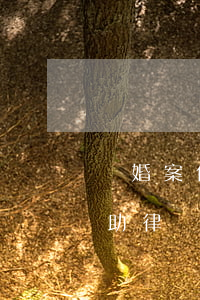 離婚案件可以法律法律援助嗎(離婚可以請援助律師嗎)