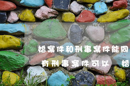 離婚案件和刑事案件能同時進(jìn)行嗎(有刑事案件可以離婚嗎)