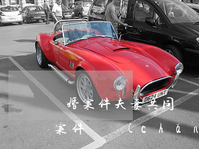 離婚案件夫妻共同債務(wù)的認定離婚案件財產(chǎn)分割問題