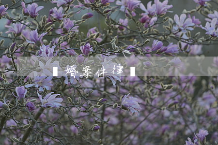 離婚案件律師