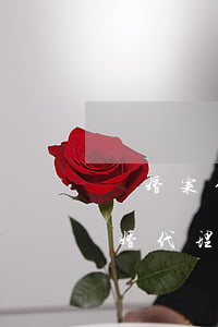 離婚案件律師代理費(fèi)怎么收取(離婚代理律師費(fèi)用一般多少)