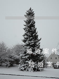 離婚案件律師可以全權(quán)代理嗎(離婚案件律師可以全權(quán)代理嗎)