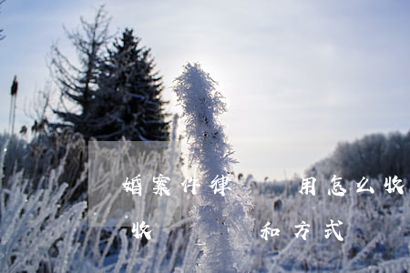 離婚案件律師費用怎么收費標準(離婚案件律師收費標準和方式)