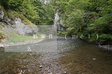 離婚案件沒(méi)錢(qián)還怎么辦