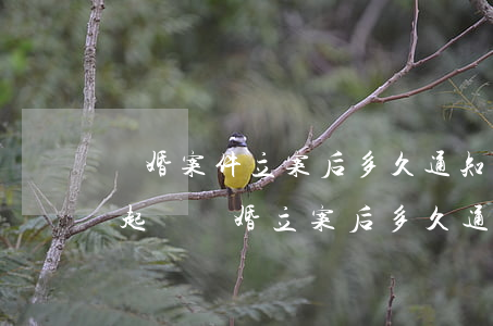 離婚案件立案后多久通知調(diào)解(起訴離婚立案后多久通知調(diào)解)