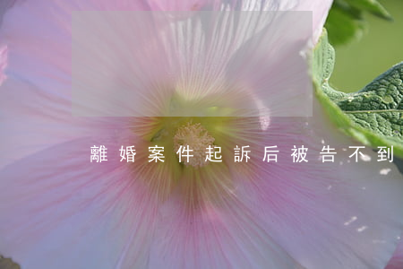 離婚案件起訴后被告不到庭怎么辦