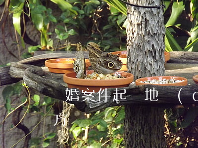 離婚案件起訴地點(diǎn)(離婚起訴地方)