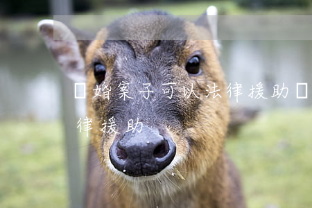 離婚案子可以法律援助嗎(離婚案怎么申請法律援助)