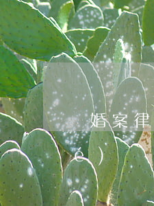 離婚案律師可以代表被告出庭嗎(已協(xié)議離婚,再次起訴是否需要本人出庭)