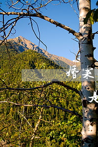 離婚案律師收費標準多少(離婚律師一般收費標準是多少)