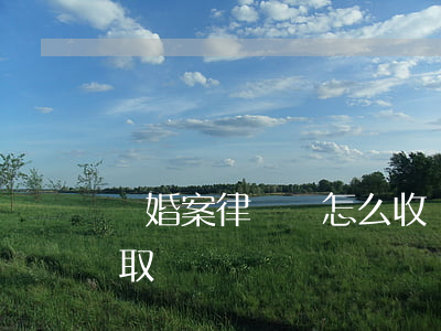 離婚案律師費怎么收(離婚案律師費用怎么收取)
