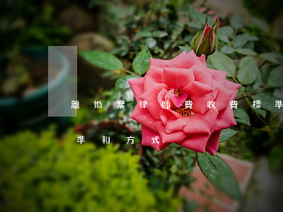 離婚案律師費收費標準(離婚案件律師收費標準和方式)