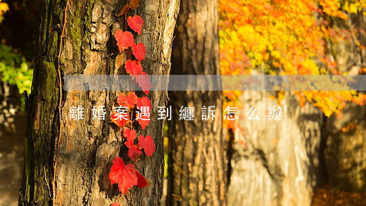 離婚案遇到纏訴怎么辦