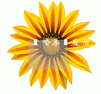 離婚案開庭后多久下判決書