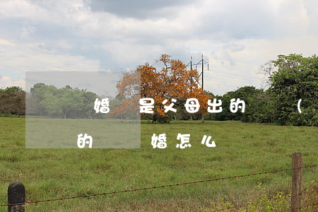 離婚樓是父母出的錢(結(jié)婚父母給的錢離婚怎么辦)