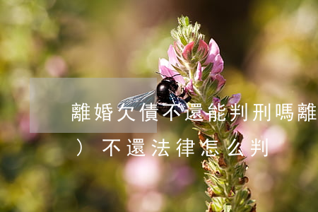 離婚欠債不還能判刑嗎(離婚欠錢(qián)不還法律怎么判)