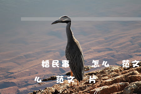 離婚民事訴訟怎么寫范文圖片(離婚訴訟書怎么寫范文圖片)