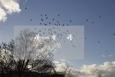 離婚沒有結婚證
