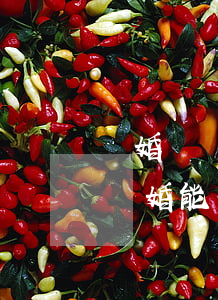 離婚沒請(qǐng)律師可以法律援助嗎(離婚能不能申請(qǐng)法律援助)