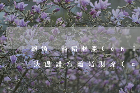 離婚沒過錯財產(chǎn)怎么分(新婚姻法過錯方離婚財產(chǎn)分割)