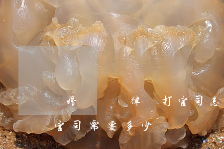 離婚沒錢請律師打官司怎么辦(找律師打離婚官司需要多少錢)