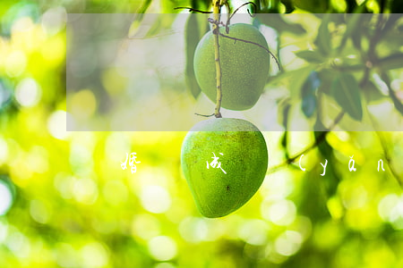 離婚沒離成撫養(yǎng)費怎么辦