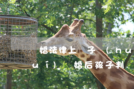 離婚法律上兒子會(huì)判給誰(shuí)(離婚后孩子判給誰(shuí))