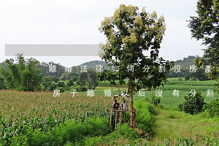 離婚法律如何分割沒房產(chǎn)證的房子(離婚以后沒有分割房產(chǎn)可以買賣嗎)