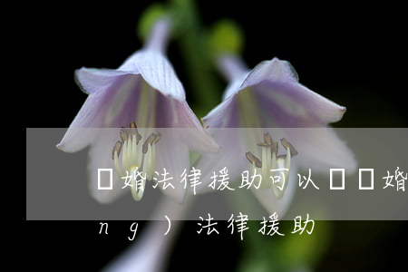 離婚法律援助可以嗎(離婚案怎么申請(qǐng)法律援助)