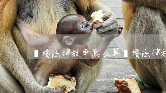 離婚法律效率怎么算(離婚法律效率怎么算)