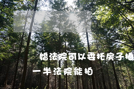 離婚法院可以委托房子拍賣嗎(離婚房子一人一半,法院能拍賣嗎)