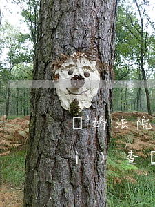 離婚法院可以查到國債嗎(訴訟離婚會(huì)查負(fù)債嗎)