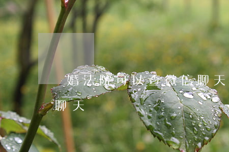 離婚法院可以查微信聊天嗎(法院可以查微信聊天記錄嗎)