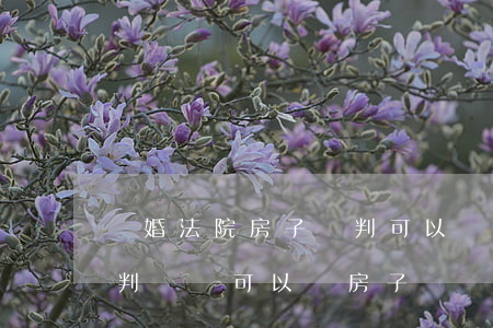 離婚法院房子沒判可以買嗎(沒有離婚證只有判決書 可以買房子嗎?)