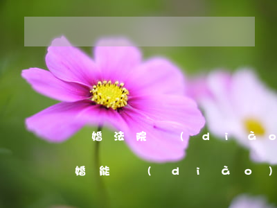 離婚法院調(diào)解可以不接受嗎(離婚能調(diào)解嗎)