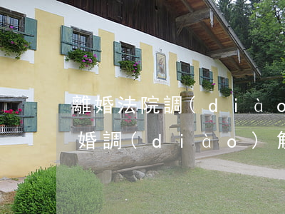 離婚法院調(diào)解律師去可以嗎(離婚調(diào)解律師需要去嗎)