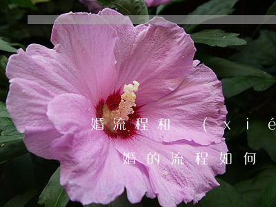 離婚流程和協(xié)議書(協(xié)議離婚的流程如何)