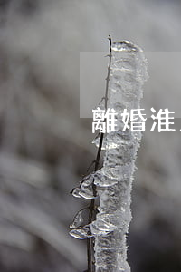 離婚 淮上區(qū)