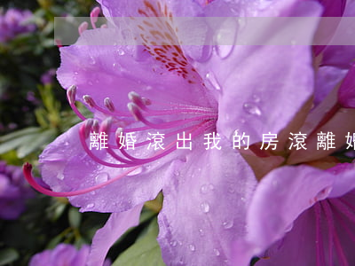 離婚滾出我的房(滾離婚完整TXT)