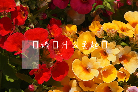 離婚為什么要起訴