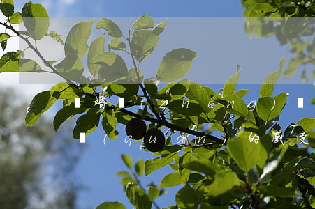 離婚爭(zhēng)奪撫養(yǎng)權(quán)的感受(離婚以后可以爭(zhēng)取撫養(yǎng)權(quán)嗎)