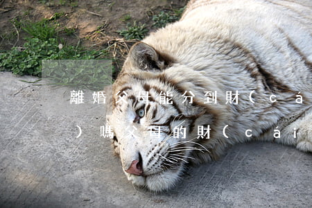 離婚父母能分到財(cái)產(chǎn)嗎(父母的財(cái)產(chǎn)離婚后雙方能分割嗎)