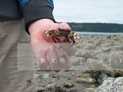 離婚父母財(cái)產(chǎn)如何分割
