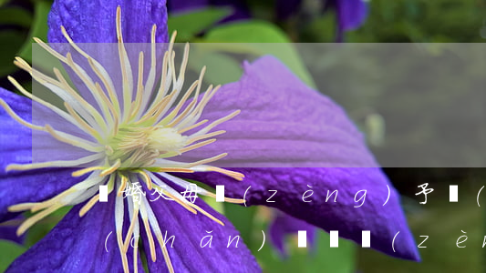 離婚父母贈(zèng)予財(cái)產(chǎn)歸誰(贈(zèng)予父母房產(chǎn)離婚時(shí)怎么分割財(cái)產(chǎn))