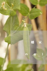 離婚父親想要兒子(父親要離婚孩子應(yīng)該怎么做)