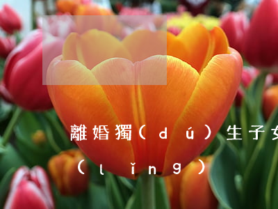 離婚獨(dú)生子女費(fèi)怎么領(lǐng)