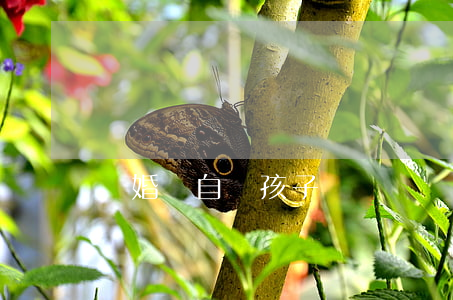 離婚獨自帶孩子