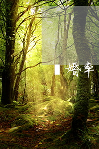 離婚率與離婚比例怎么計算(離婚的比例)