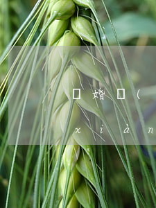 離婚現(xiàn)金被別人取走(離婚現(xiàn)金轉(zhuǎn)移查的到嗎)